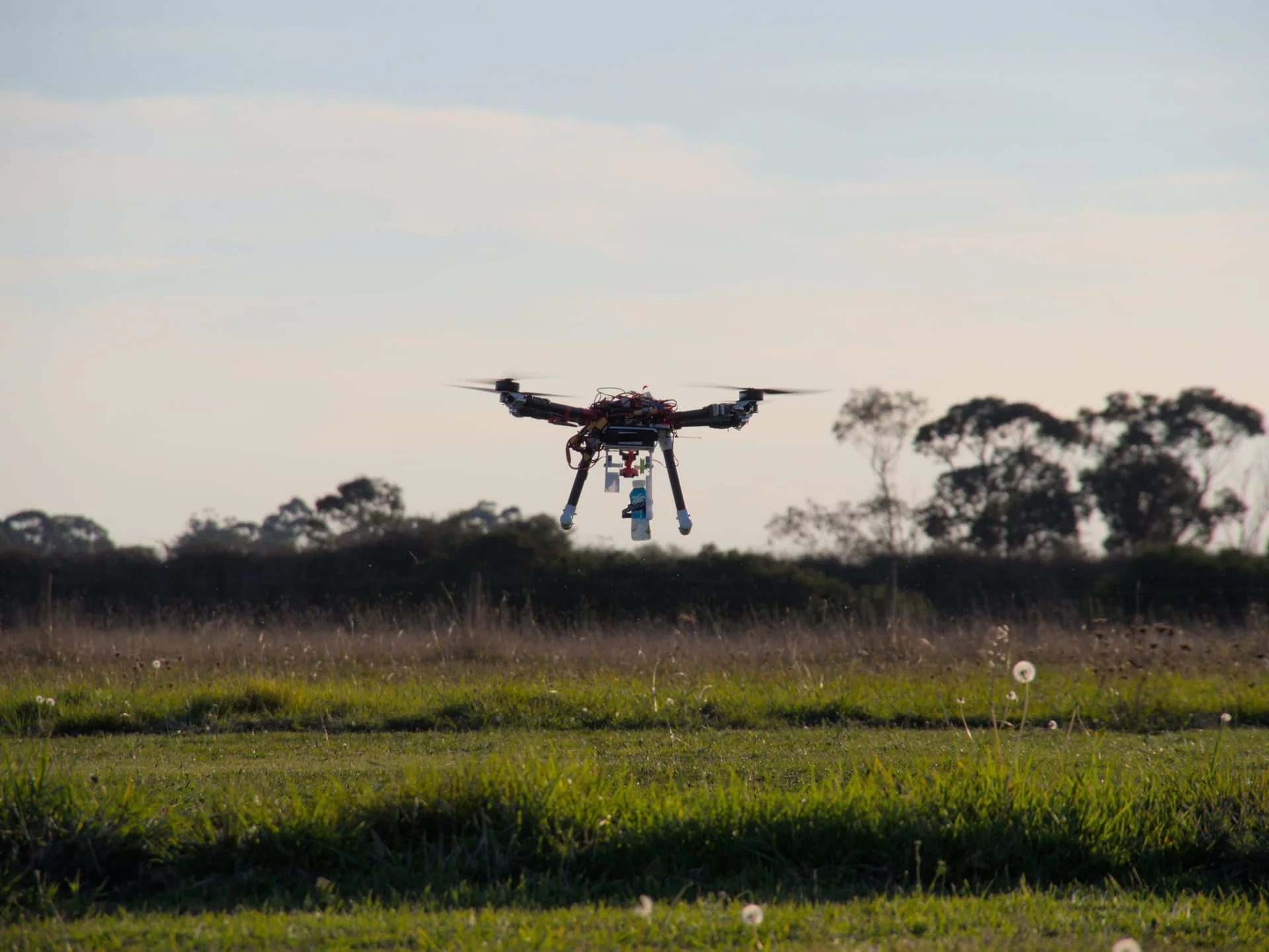 Redback aircraft flying low over a grass field